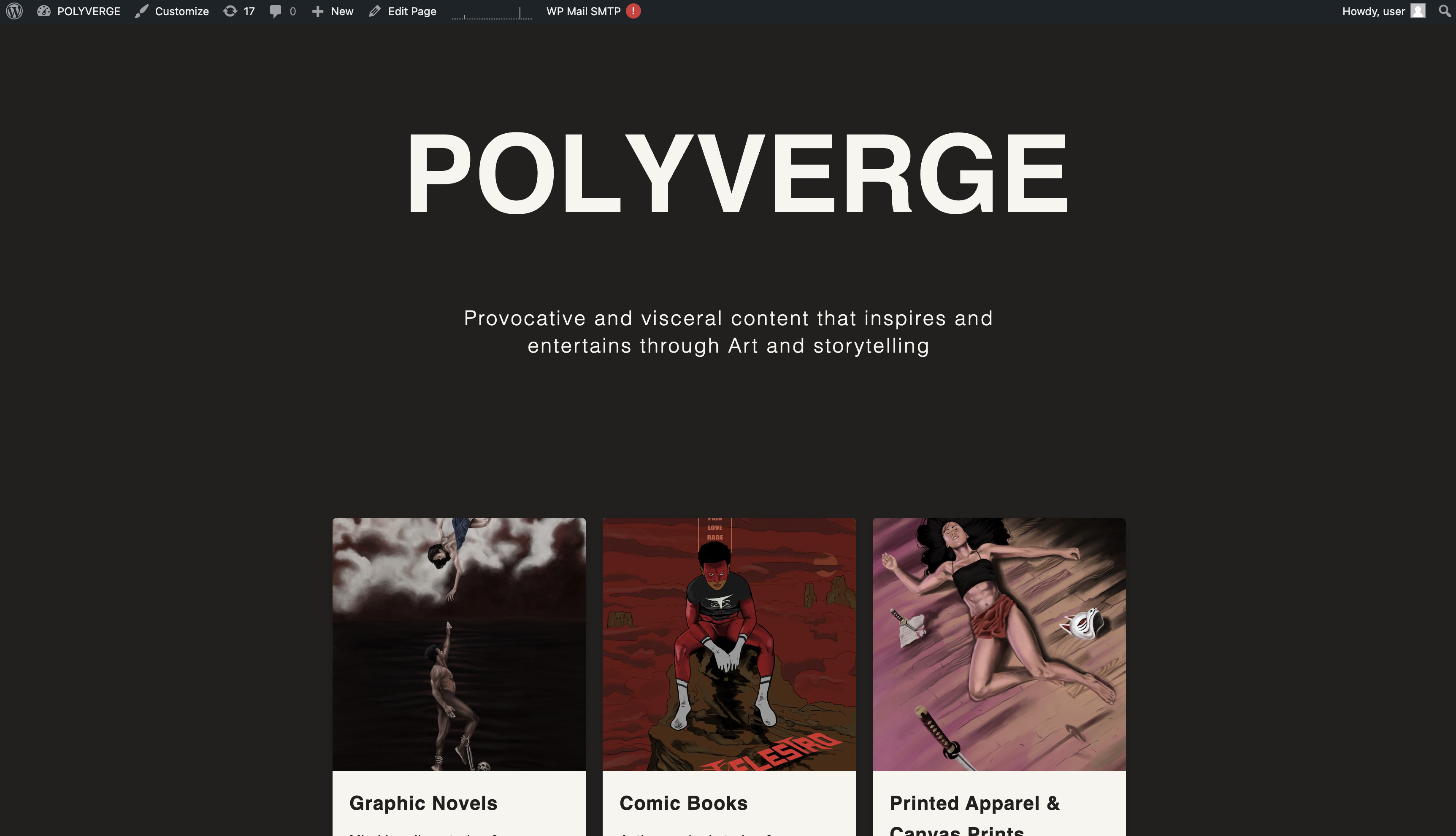 Image of Polyverge E commerce website